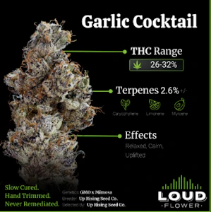 Mi loud - GARLIC COCKTAIL 14G