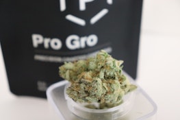 PARIS BREATH 3.5G PRE PACK (PRO GRO)