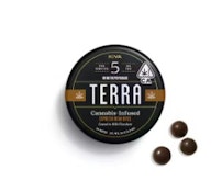 ESPRESSO 100MG TERRA BITES