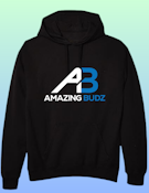 SMALL AB HOODIE