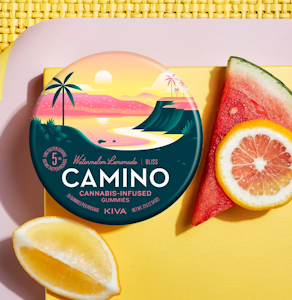Camino - WATERMELON LEMONADE 200MG GUMMIES