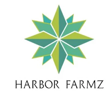 Harbor farmz - FALSE PEBBLES - CURED RESIN - 1G