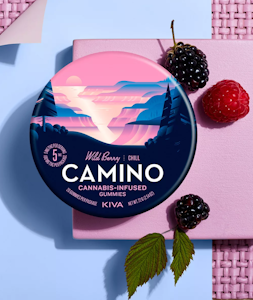 Camino - WILD BERRY GUMMIES 200MG