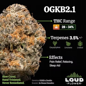 Mi loud - OGKB 2.1 14G
