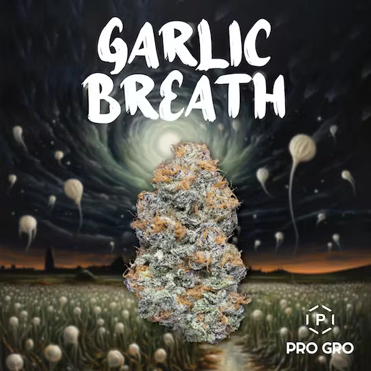 Pro gro - GARLIC BREATH 14G Main Image