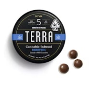 BLUEBERRY TERRA BITES 100MG