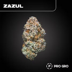 Pro - ZAZUL 14G